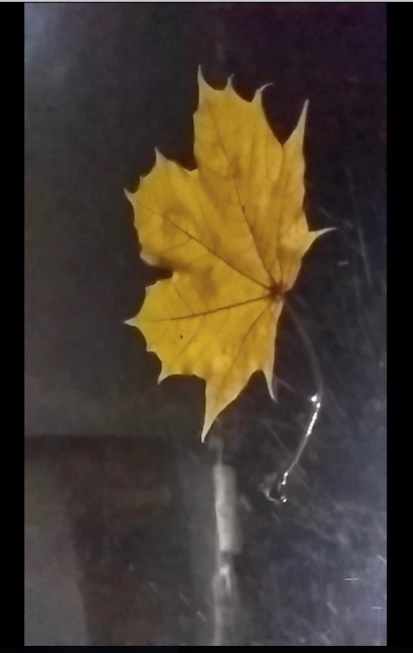 Screen Shot 2021-03-20 at 10.32.53 PM